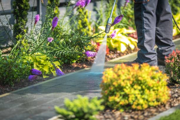 Best Gutter Cleaning  in Jerome, IL