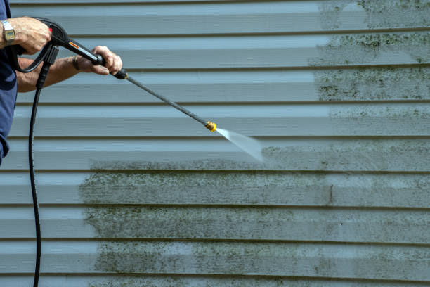 Best Graffiti Removal  in Jerome, IL